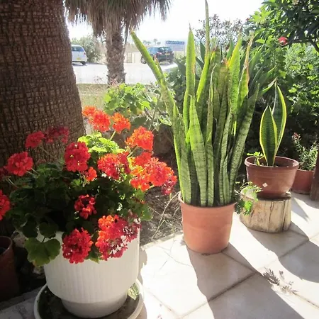 Georgia Lägenhetshotell Paphos