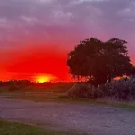 Georgia