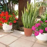 Lejlighedshotel Georgia