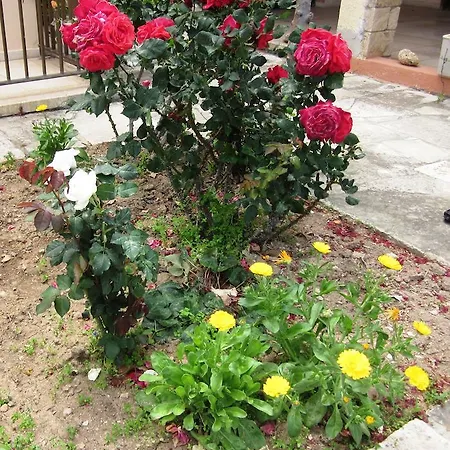 Georgia Aparthotel Paphos