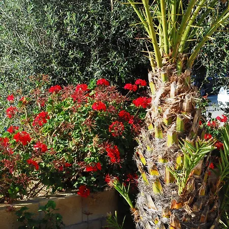 Georgia 3* Paphos