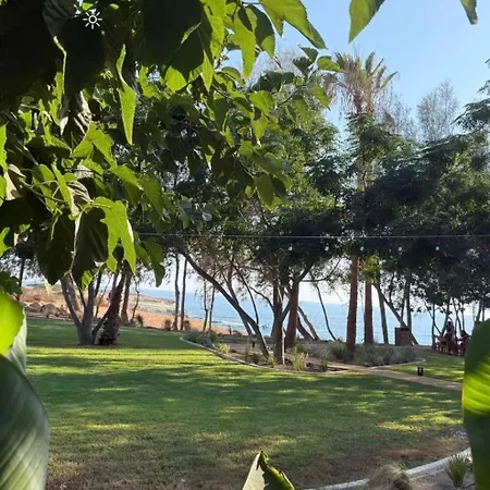 Georgia 3* Paphos