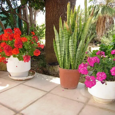 Apartmanhotel Georgia