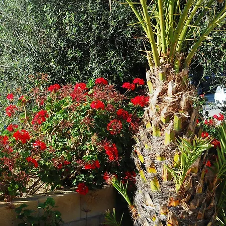 Georgia Aparthotel Paphos