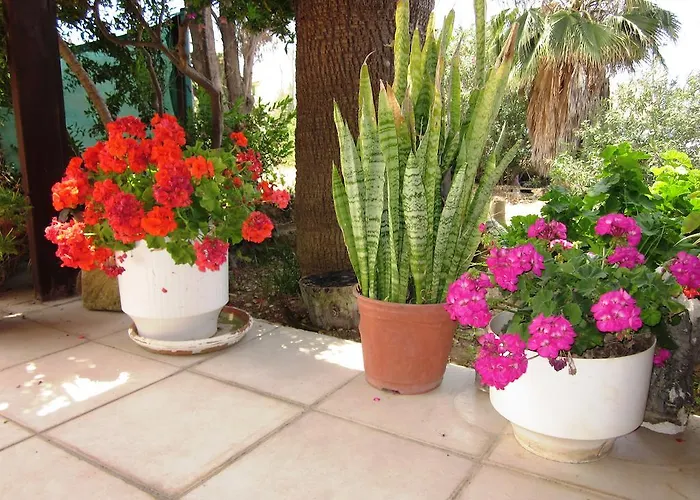 شقة فندقية Georgia